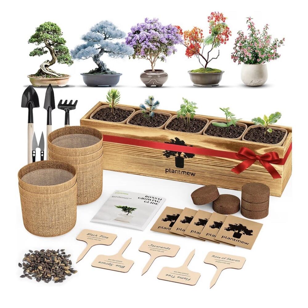 Complete bonsai starter kit for beginners with tools and seeds